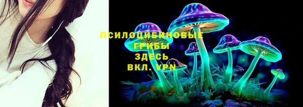 прущий лед Богородск