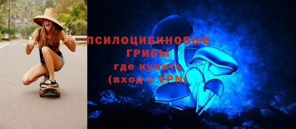 соль ск Богданович