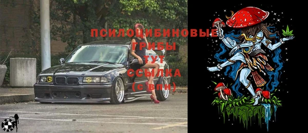 соль ск Богданович