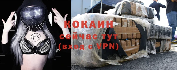 соль ск Богданович