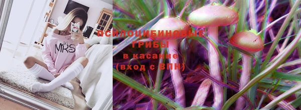 прущий лед Богородск