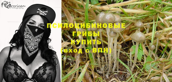 гашиш Богородицк